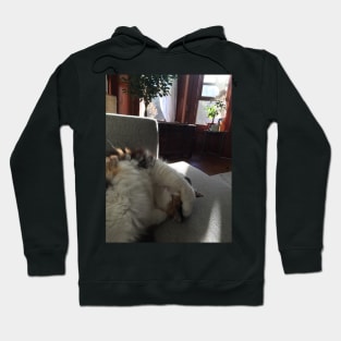 Carol Cat Name Change Hoodie